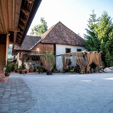 Resort Hisa Ida - Apartments With Hot Tub And Sauna Ivancna Gorica Esterno foto